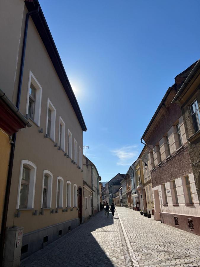 Premium Postavarului Brasov